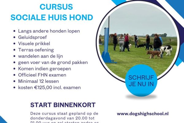 Cursus sociale huishond