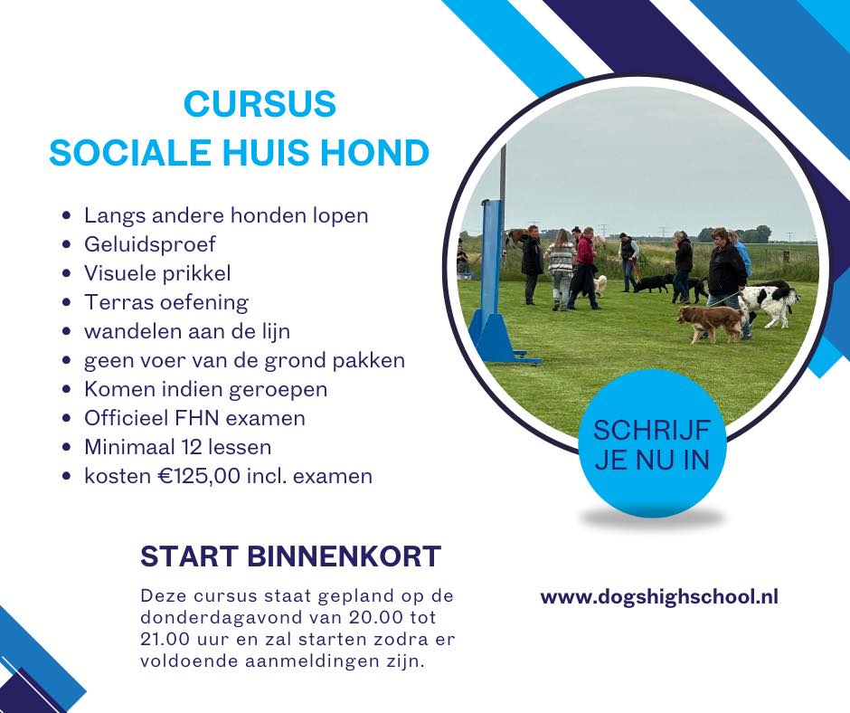 Cursus sociale huishond